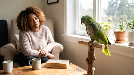 ¿Por qué mi pájaro se arranca las plumas?
