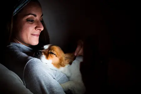 Equilibrando el trabajo y el sueño de su perro: consejos para padres de cachorros que trabajan hasta tarde