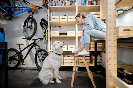 Uw garage transformeren: deskundige tips voor organisatie en onderhoud