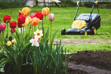 Gestion des tâches extérieures : stratégies pour maintenir une cour, un jardin et un espace de vie extérieur bien rangés