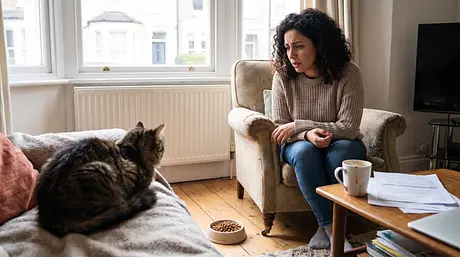 El gato no come: causas y cuándo preocuparse
