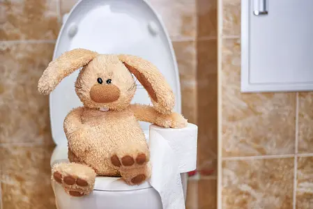 Family Teamwork in Potty Training: Harnessing the Power of the "Potty Whiz" App